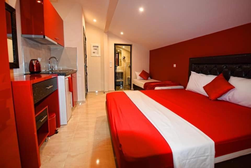 Apartmani Vesna Luxury Ap 5 & 6 Paralia Buitenkant foto